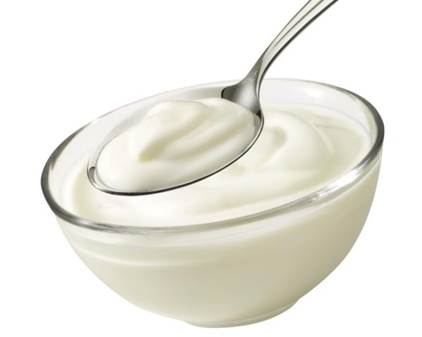 jogurt probiotik