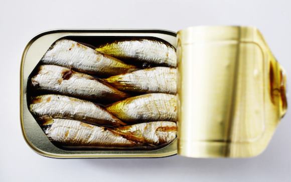 sardine