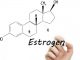 estrogen hormon